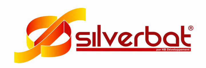 Logo Silverbat